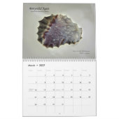 Agenda 2013 kalender (Mar 2027)