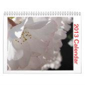 Agenda 2013 kalender (Hoes)