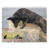 Agenda 2013 van Barn Hunt Assoc Kalender (Hoes)