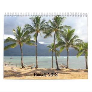 Agenda 2013 van Hawaii Kalender