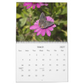 Agenda 2013 - Wings Kalender (Mar 2027)