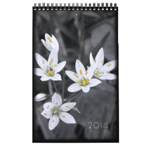 Agenda 2014 Floral 12 maanden Kalender