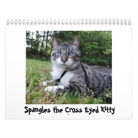 Agenda 2014-hoeken kalender (Hoes)