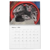 Agenda 2014 - Possum Babies Kalender (Feb 2026)