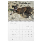 Agenda 2014 van Troop Boxer Kalender (Jan 2027)