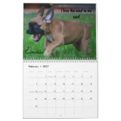 Agenda 2014 van Troop Boxer Kalender (Feb 2027)