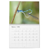Agenda 2014 voor de bellen en de Damselflies Kalender (Feb 2026)