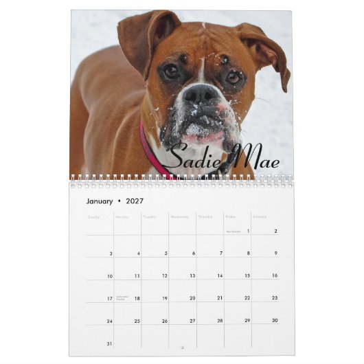 Agenda 2015 kalender (Jan 2027)