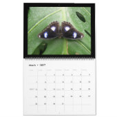 Agenda 2015 kalender (Mar 2027)