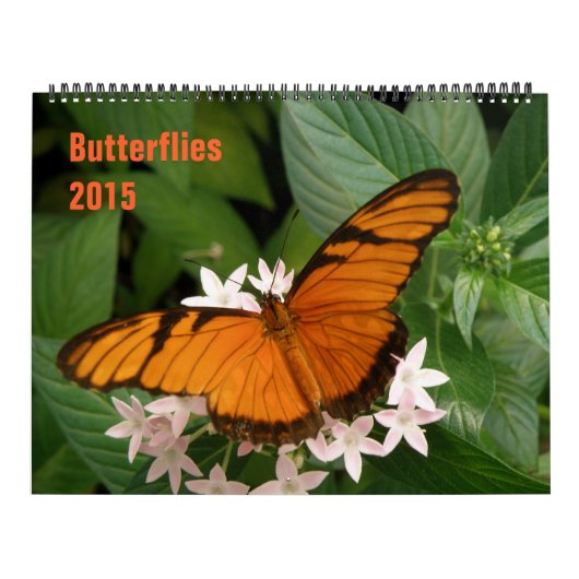 Agenda 2015 kalender (Hoes)
