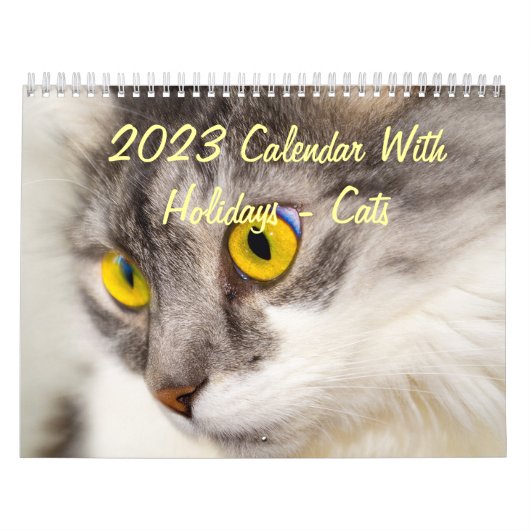 Agenda 2015 met Feestdagen - Katten Kalender (Hoes)
