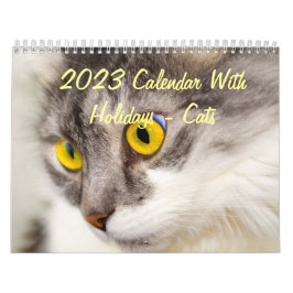 Agenda 2015 met Feestdagen - Katten Kalender
