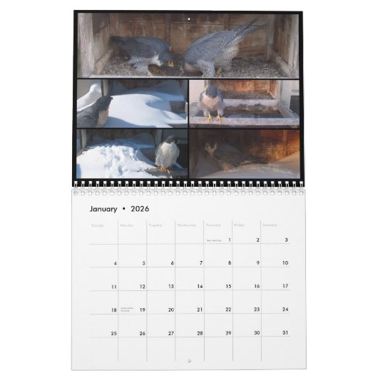 Agenda 2016 - Belangrijkste cursus Kalender (Jan 2026)