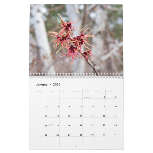 Agenda 2016 kalender (Jan 2026)