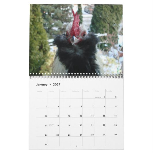 Agenda 2016 kalender (Jan 2027)