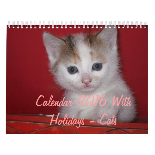 Agenda 2016 met Feestdagen - Katten Kalender (Hoes)