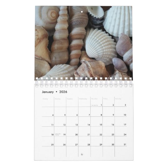 Agenda 2017 Exotic Tropical Romantic Kalender (Jan 2026)