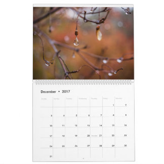 Agenda 2017, Foto's van Eric Johnson Kalender