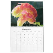 Agenda 2017: Foto's van Joan McQuaid Kalender (Feb 2026)