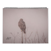 Agenda 2017 in het wild levende dieren kalender (Hoes)