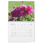 Agenda 2017 kalender (Feb 2026)