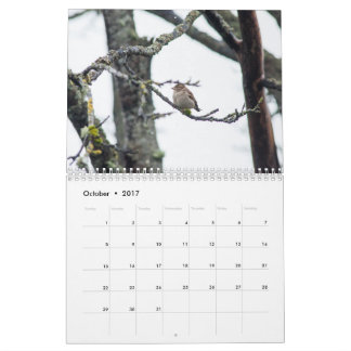 Agenda 2017 van Barbara Levy Kalender