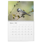 Agenda 2019, Fotografie door Steve Borichevsky Kalender (Feb 2026)