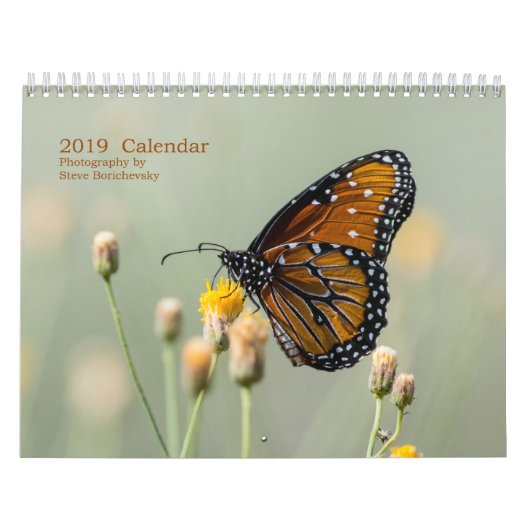 Agenda 2019, Fotografie door Steve Borichevsky Kalender (Hoes)