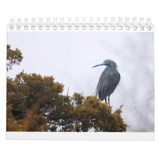 Agenda 2020 kalender (Achterkant)