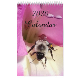 Agenda 2020 kalender