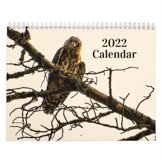 Agenda 2021 kalender (Hoes)