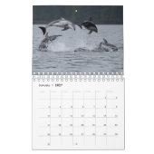Agenda 2021 - Pacifische witte dolfijnen Kalender (Jan 2027)
