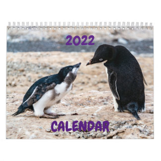 Agenda 2022 - Antarctica Kalender