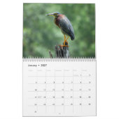 Agenda 2023 Egrets and Herons 2 Kalender (Jan 2027)
