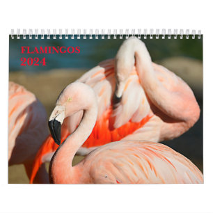 Agenda 2023-flamingos kalender
