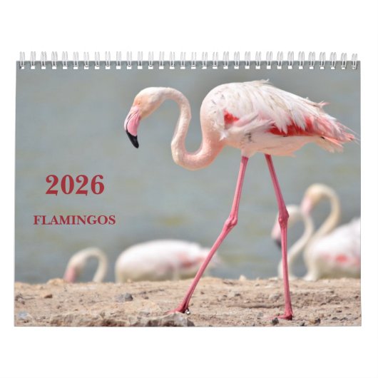 Agenda 2023-flamingos kalender (Hoes)