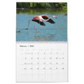 Agenda 2023 Flamingos Kalender (Feb 2026)