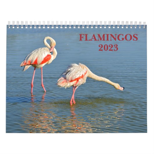 Agenda 2023 Flamingos Kalender (Hoes)