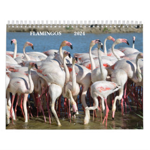 Agenda 2023 Flamingos Kalender