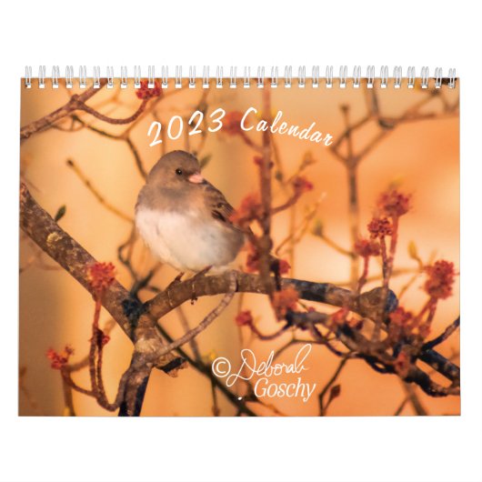 Agenda 2023 kalender (Hoes)