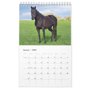 Agenda 2023 Mares and Foals Kalender