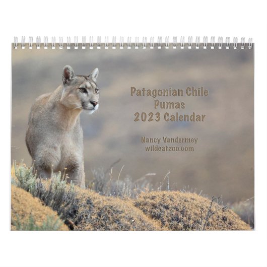 Agenda 2023 van Chili Kalender (Hoes)