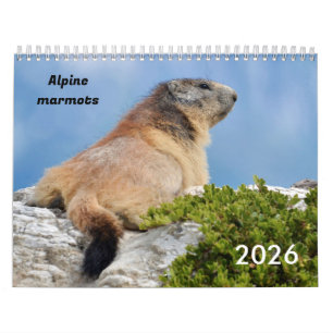 Agenda 2023 van de Alpenmarmots Kalender
