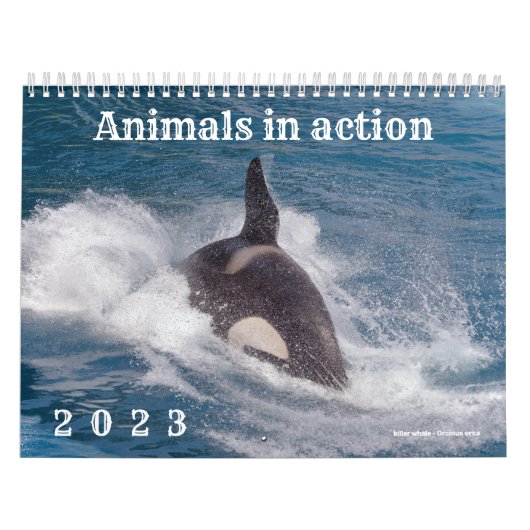 Agenda 2023 van de dieren in actie kalender (Hoes)