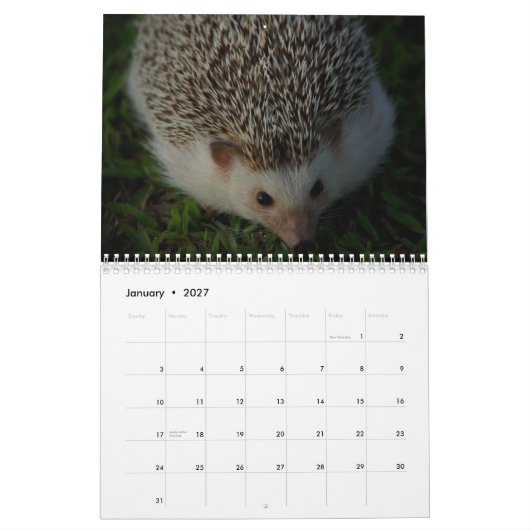 Agenda 3 2013 kalender (Jan 2027)