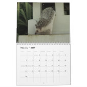 Agenda 3 2013 kalender (Feb 2027)