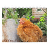 Agenda 3: De kuikens van de kip Kalender (Hoes)