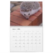 Agenda 4 2013 kalender (Mar 2026)