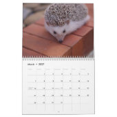 Agenda 4 2013 kalender (Mar 2027)