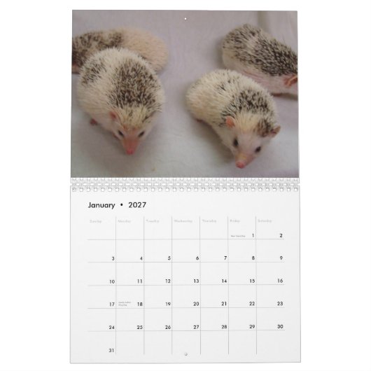 Agenda 4 2013 kalender (Jan 2027)